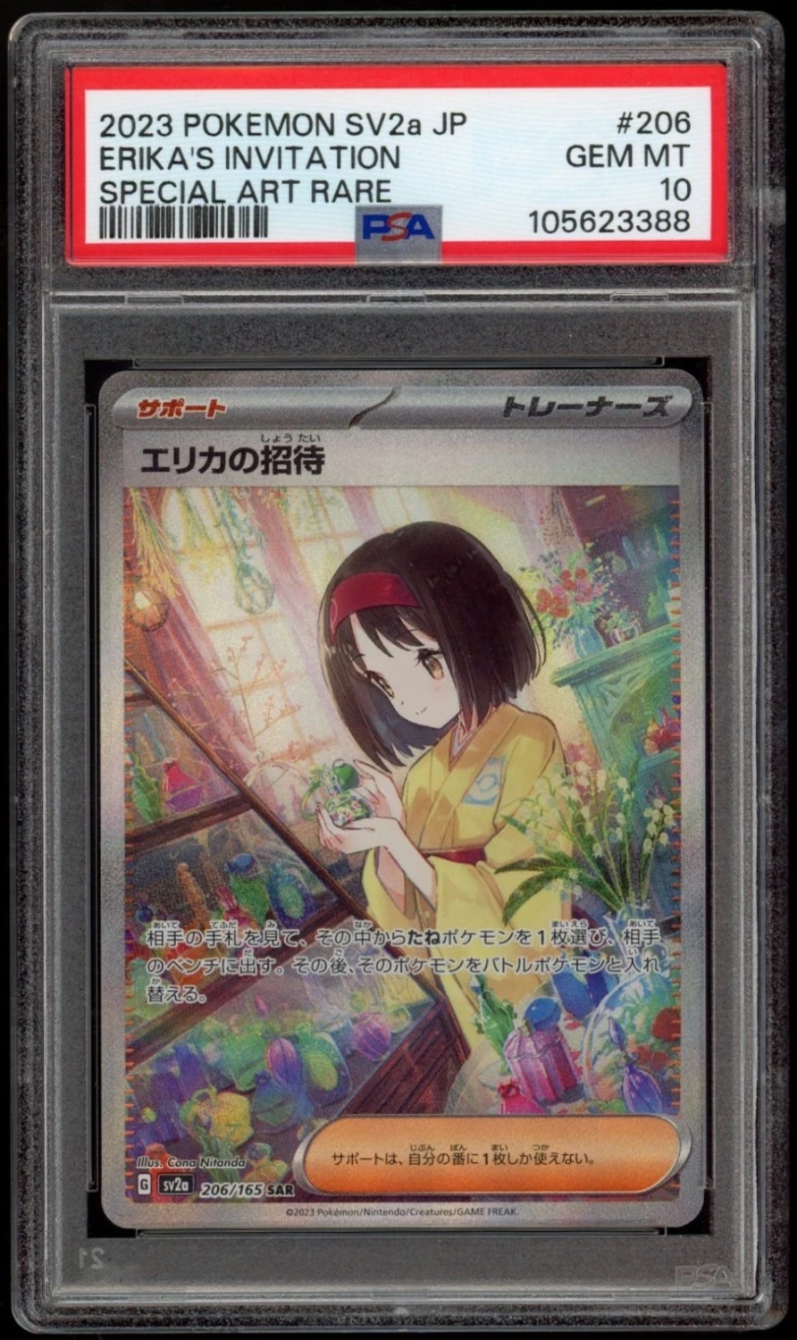 Erika's Invitation