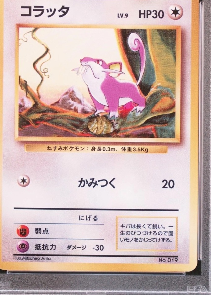 No Rarity Symbol