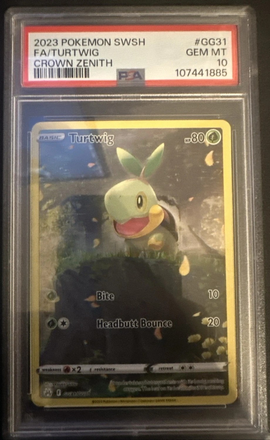 FA/TURTWIG