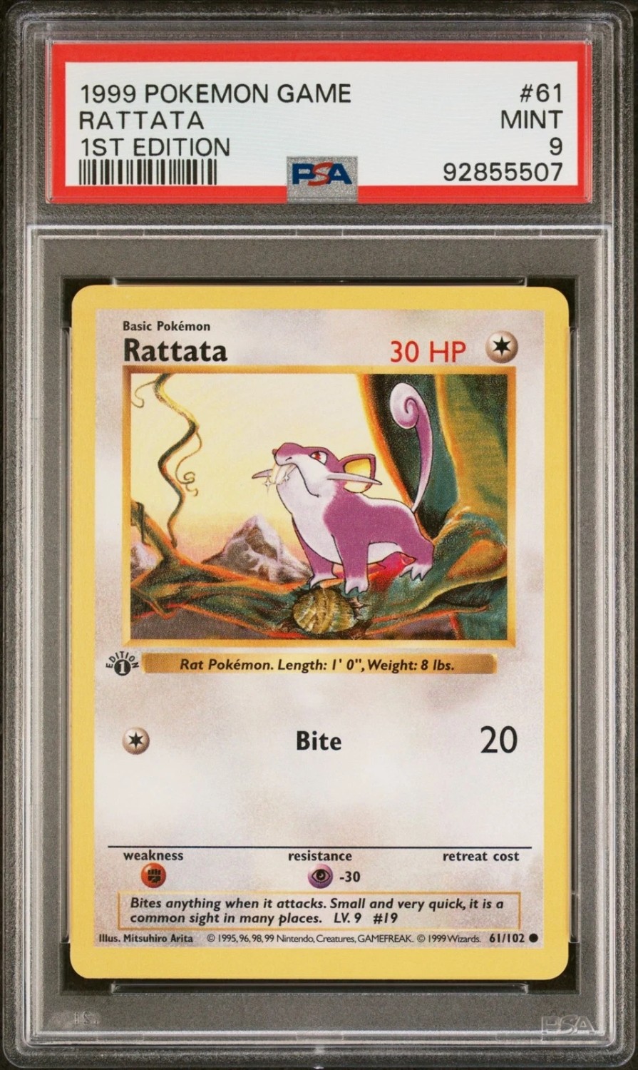 Rattata