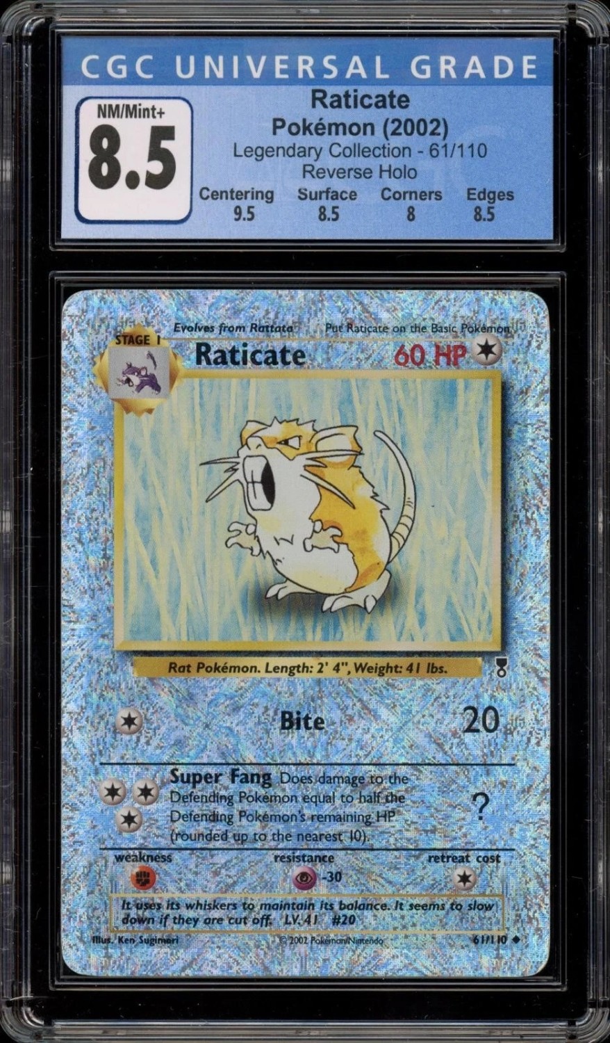 Raticate