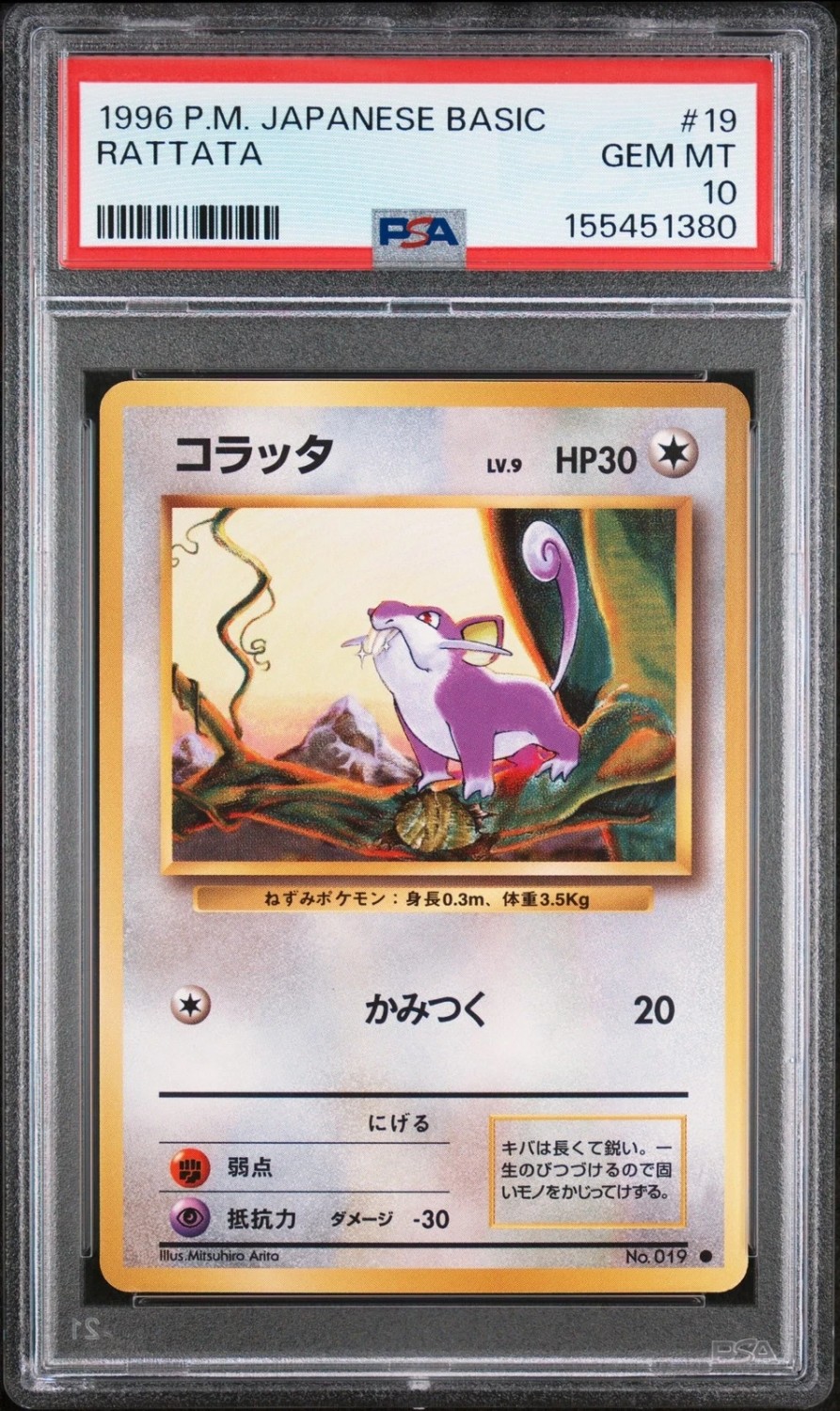 Rattata