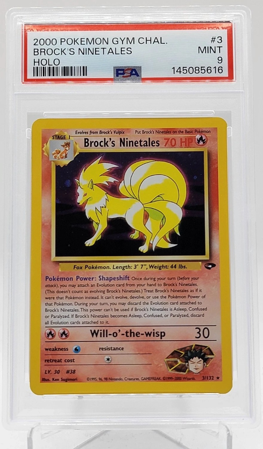 Brock's Ninetales
