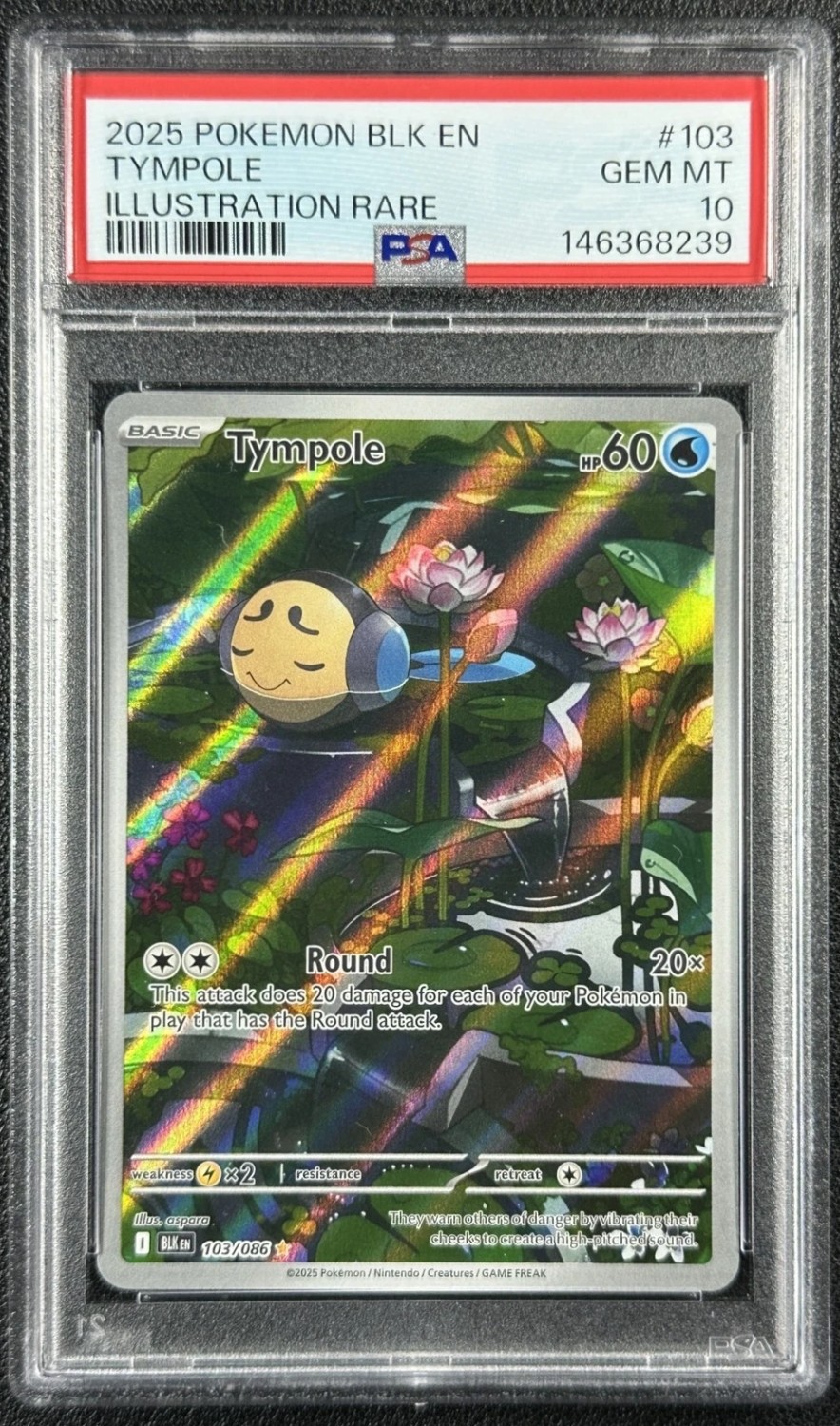 Tympole