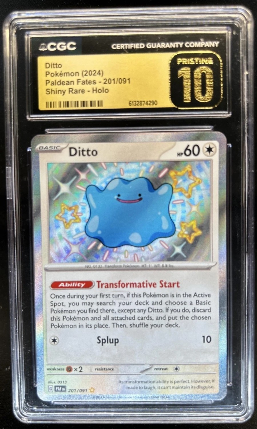 Ditto