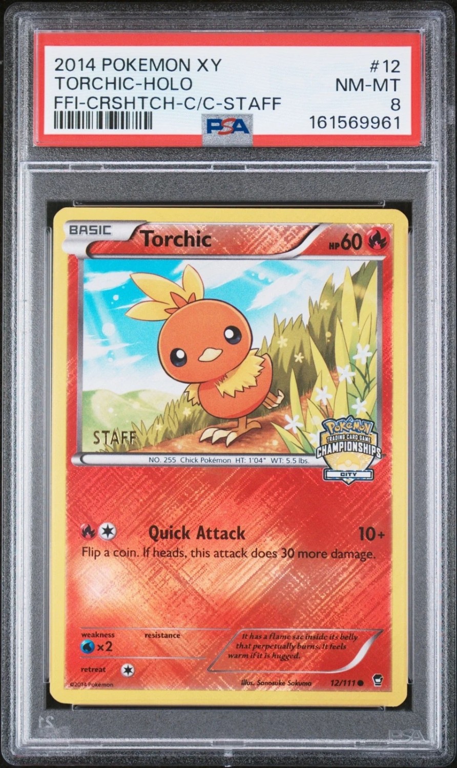 Torchic