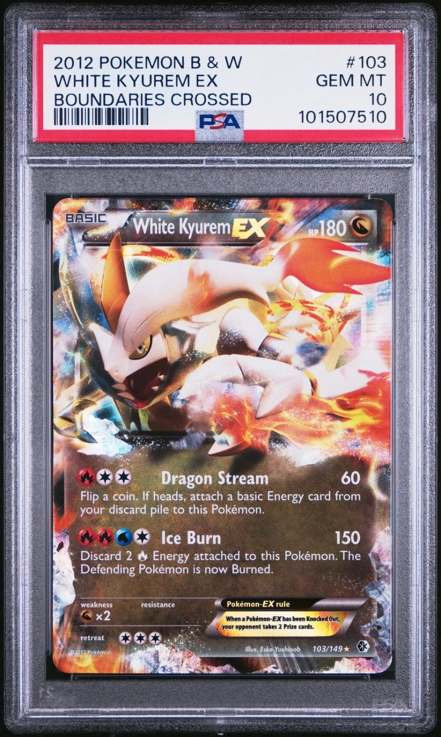 White Kyurem EX