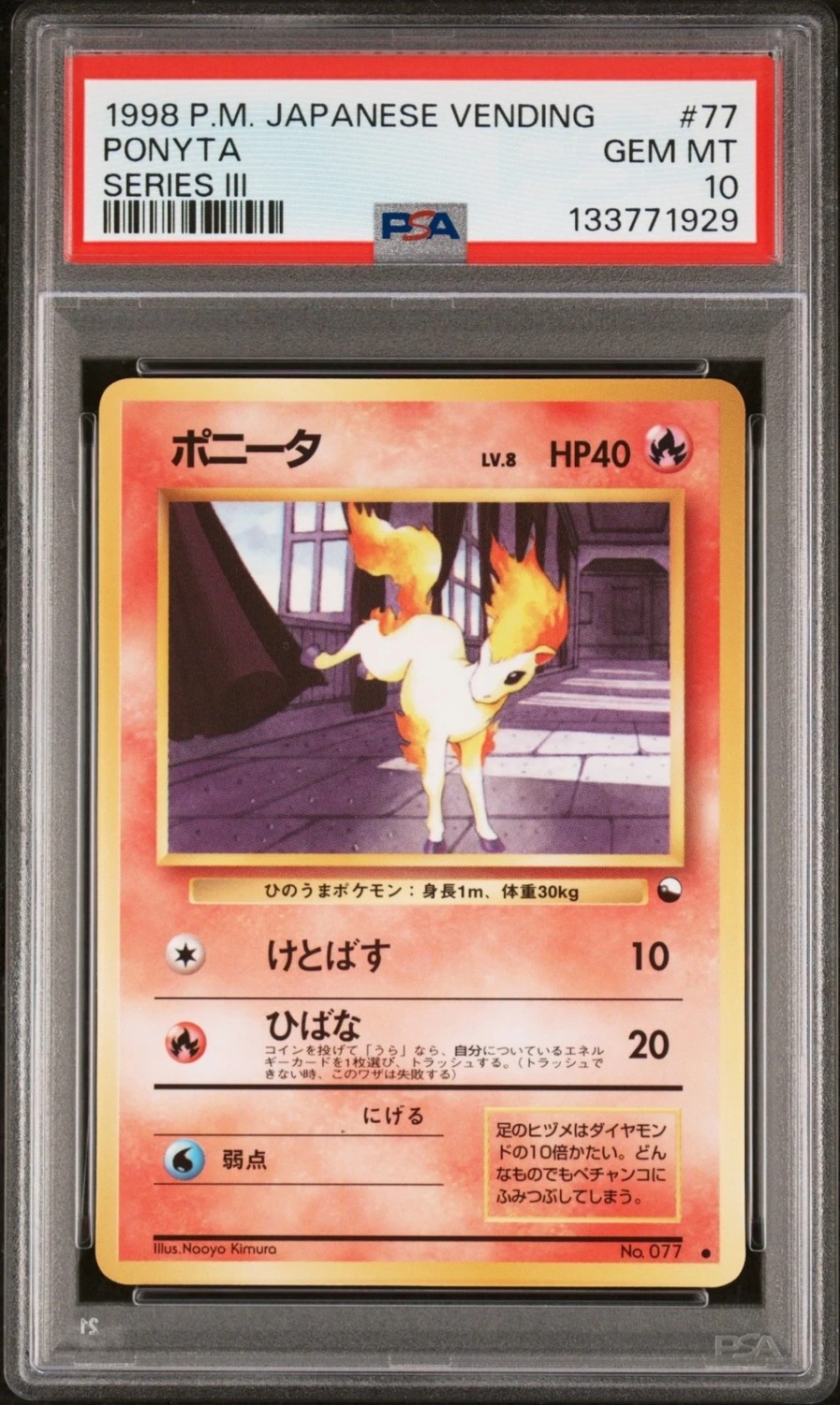 Ponyta