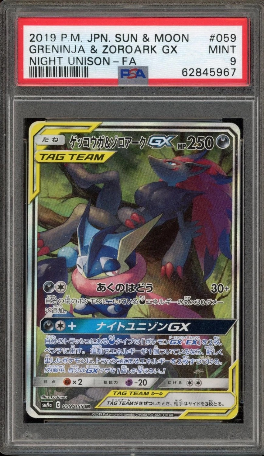 Greninja & Zoroark GX