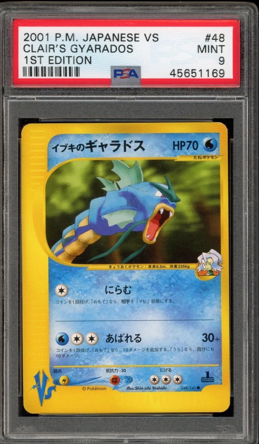 Clair's Gyarados