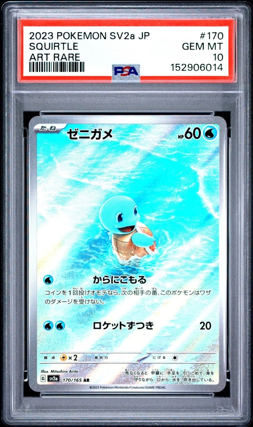 Squirtle