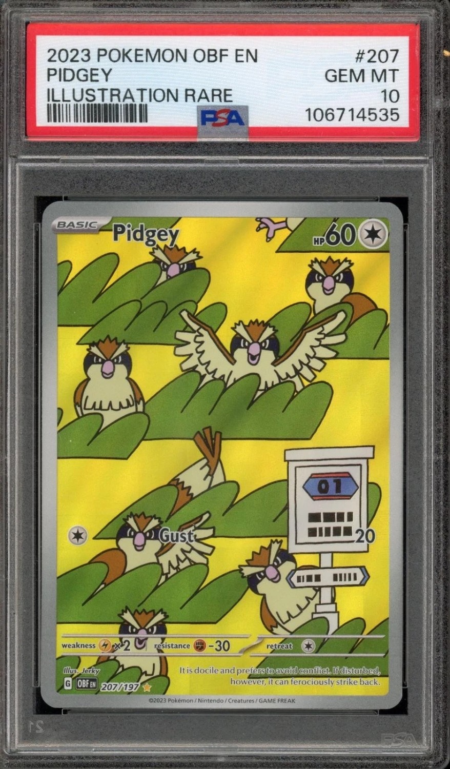 Pidgey