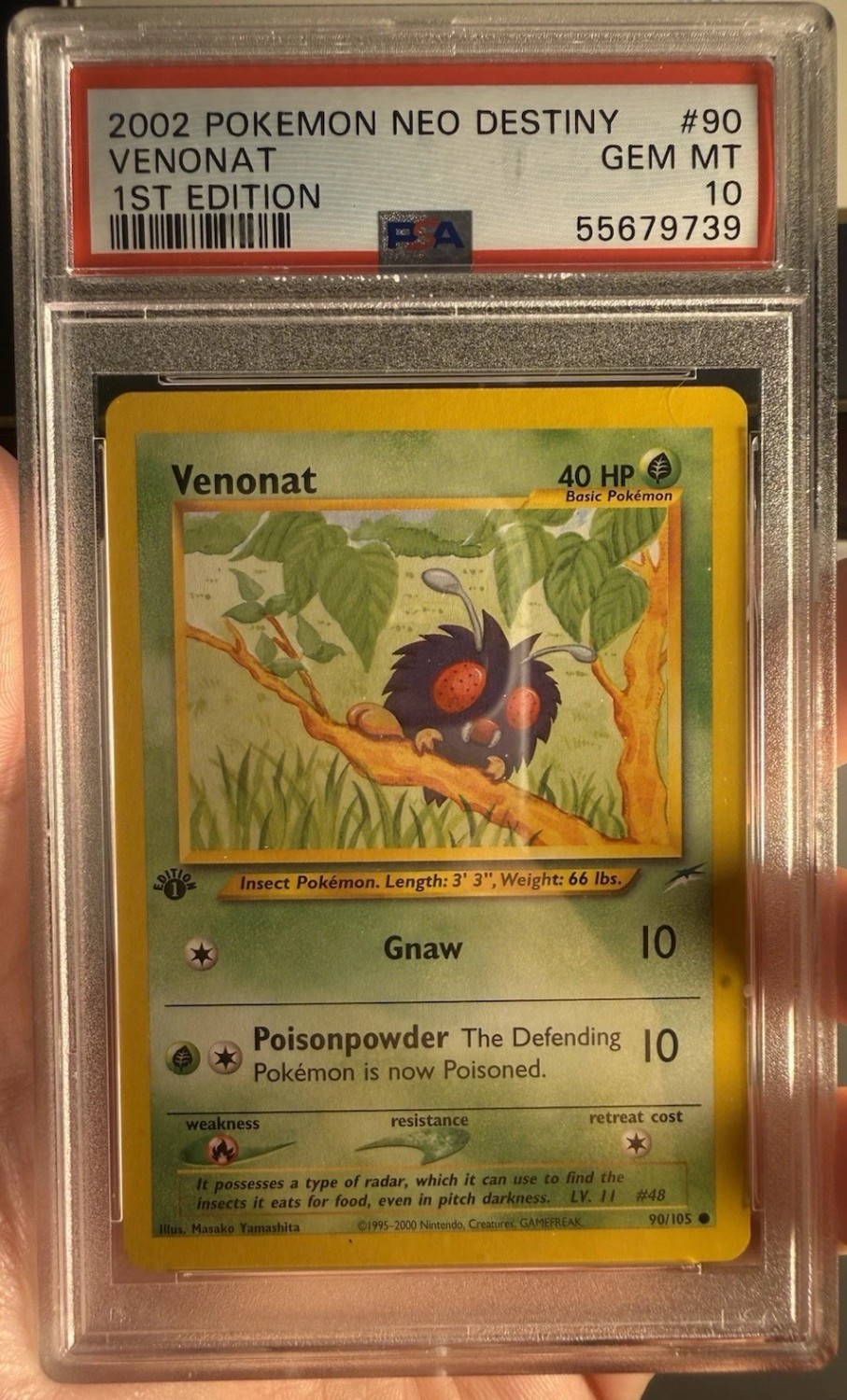 Venonat