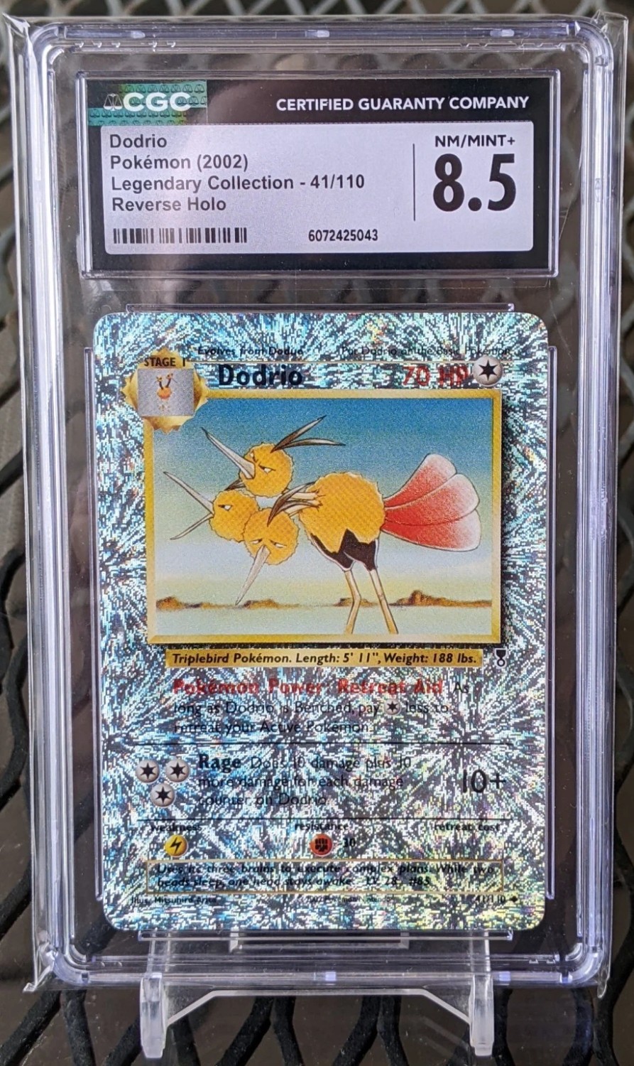Dodrio