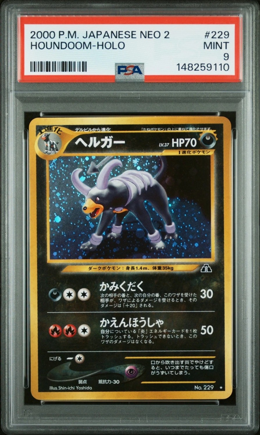 Houndoom