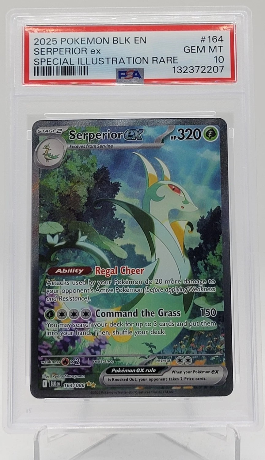 SERPERIOR ex