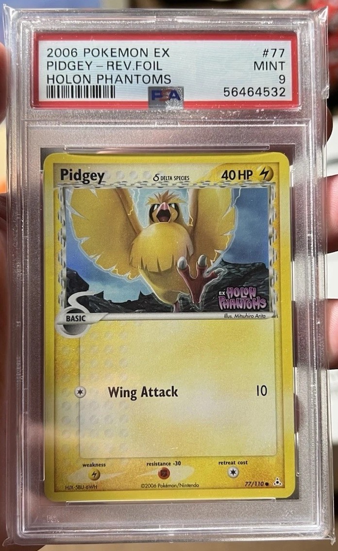 Pidgey