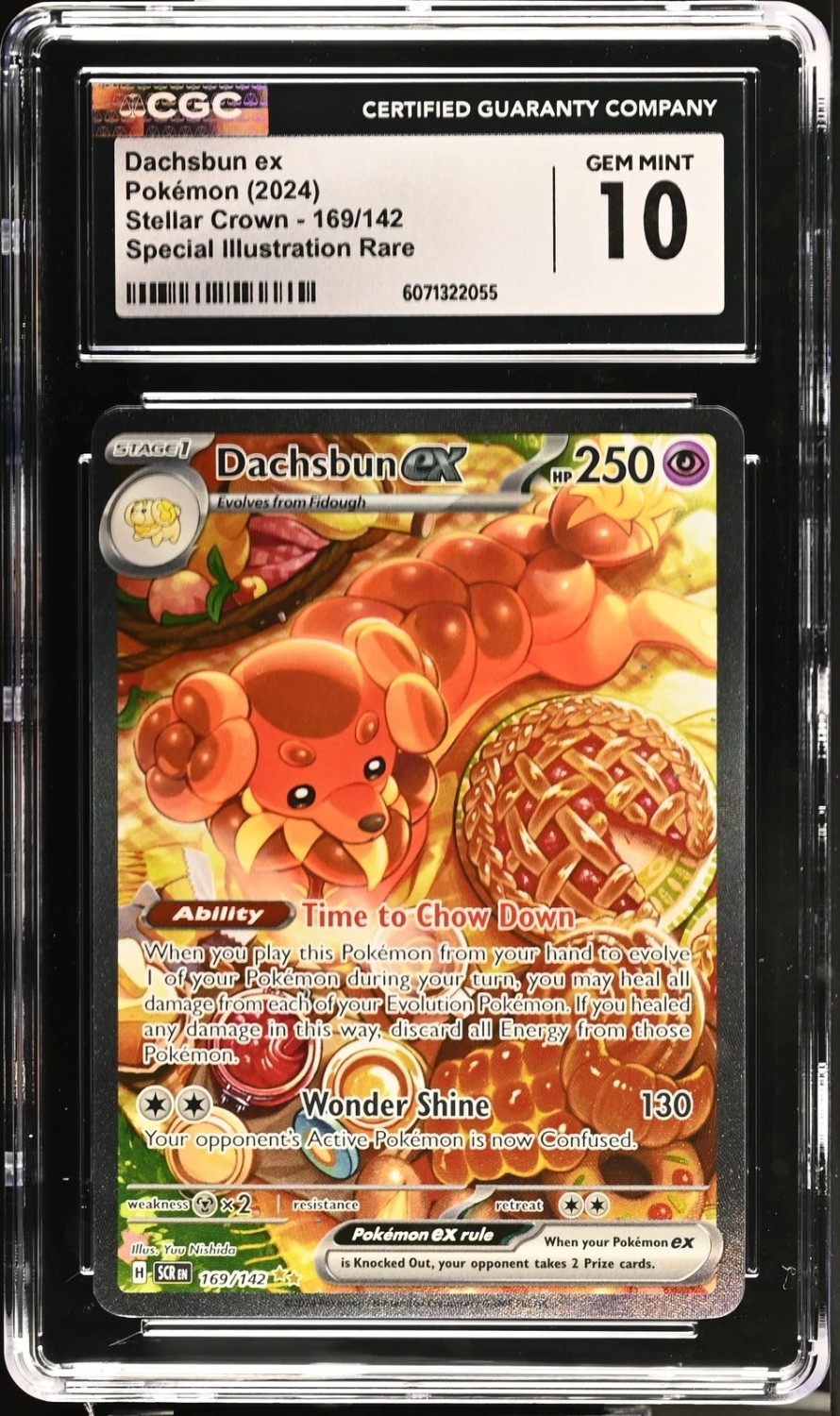 DACHSBUN ex