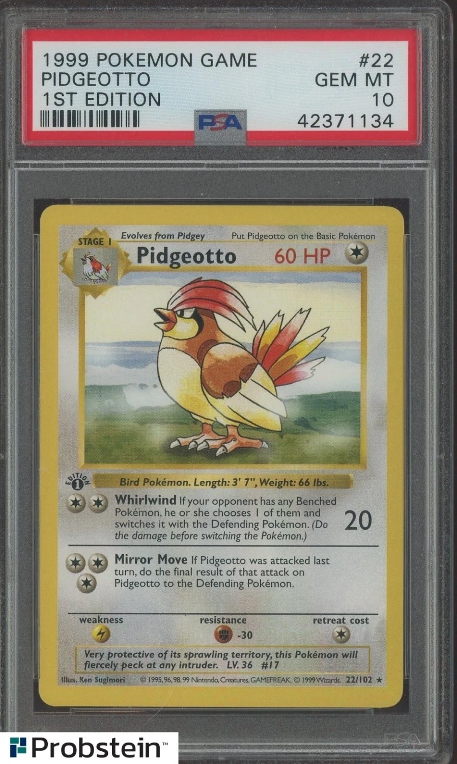 PIDGEOTTO