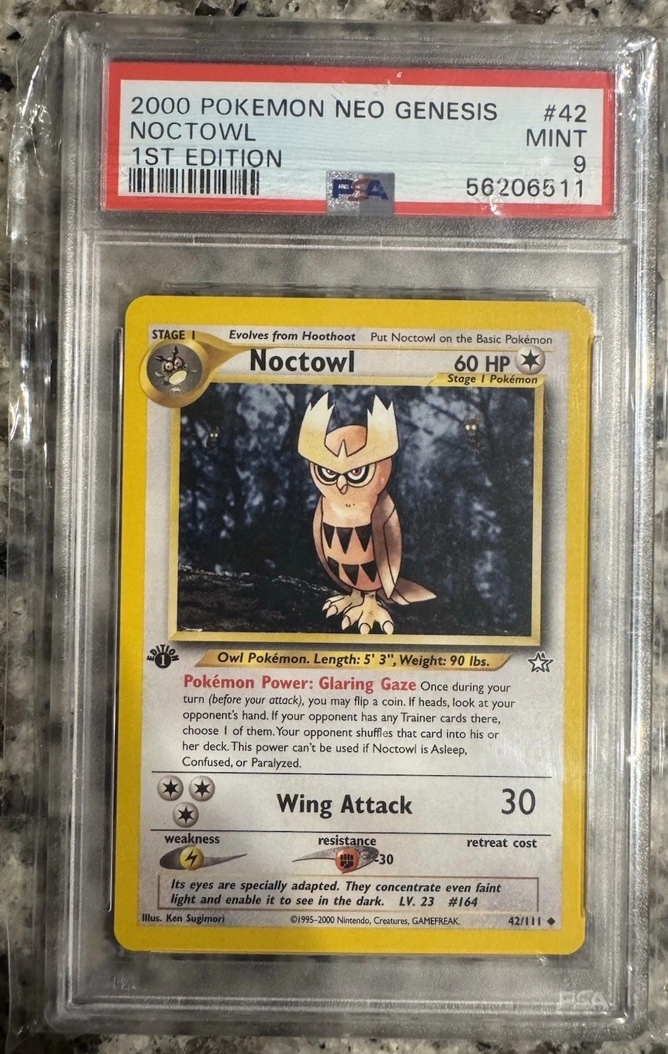 Noctowl