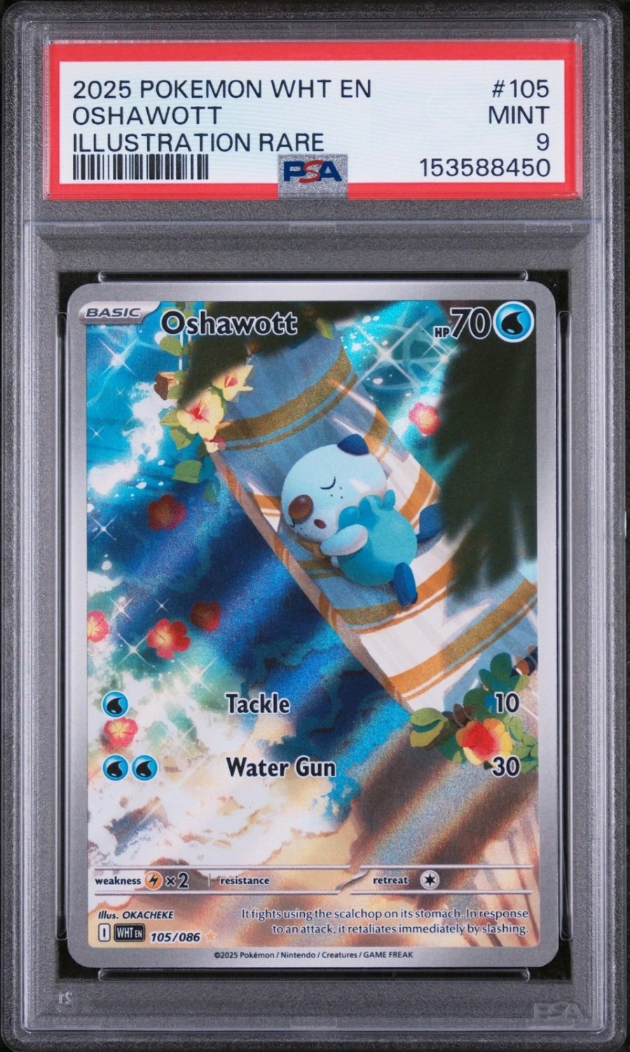 Oshawott