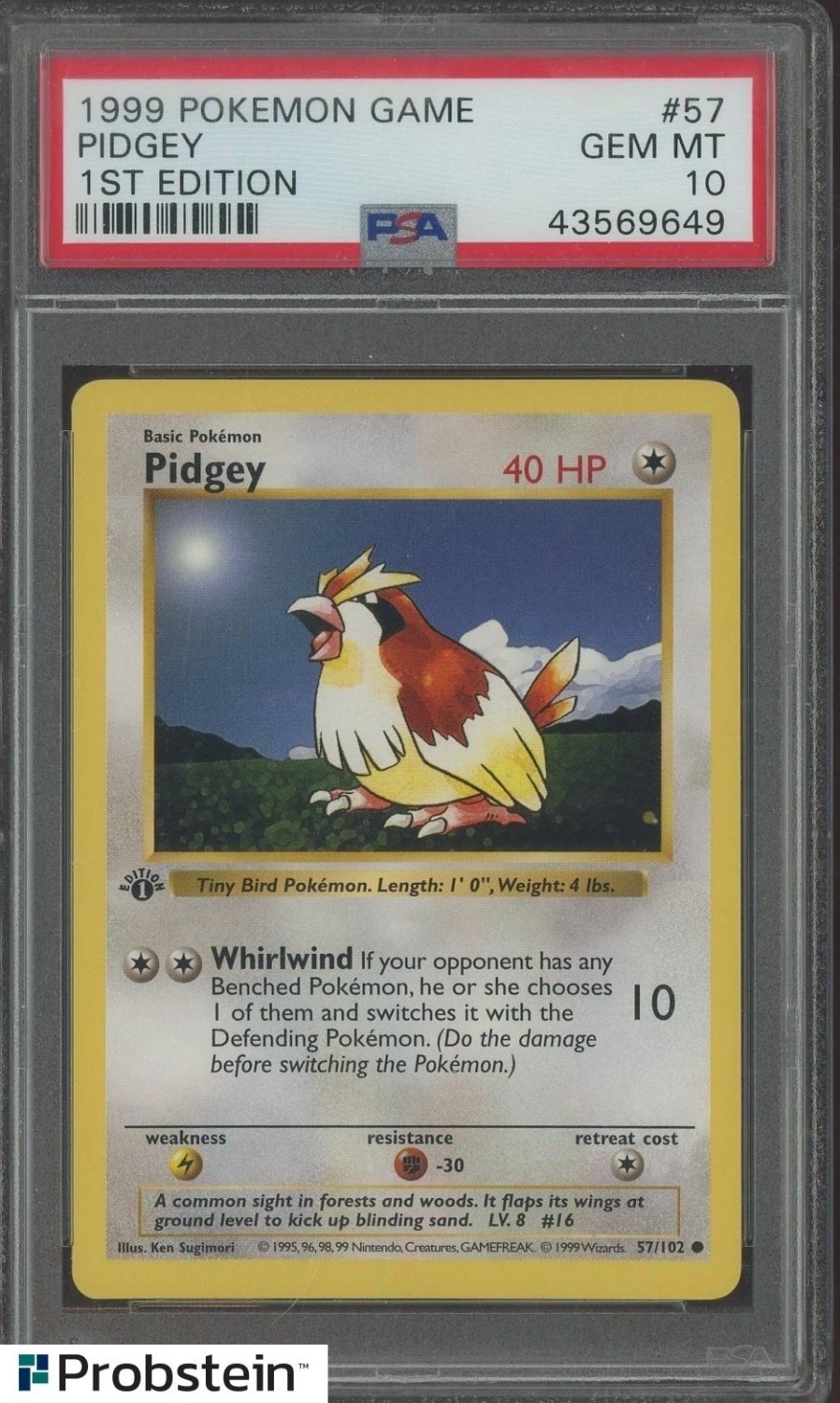 PIDGEY