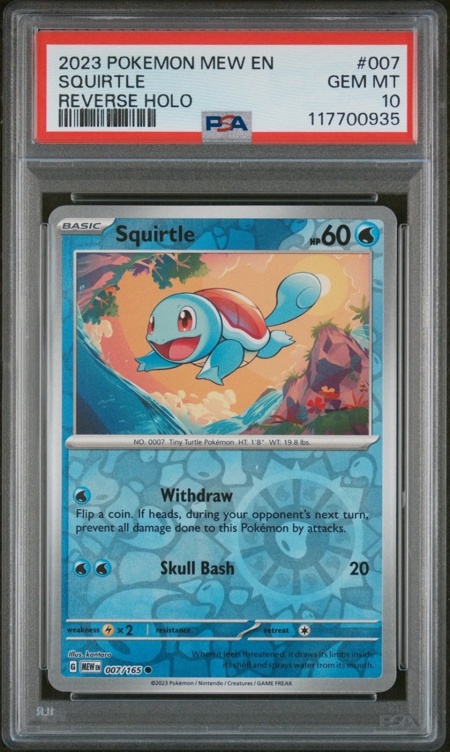 Squirtle