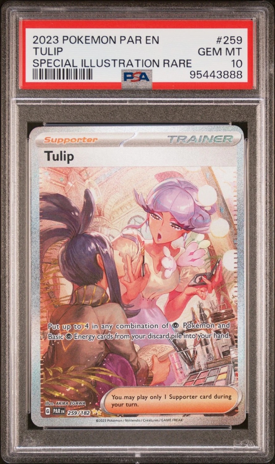 Tulip