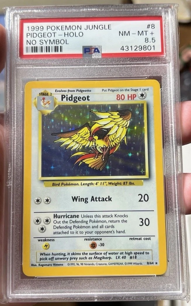 PIDGEOT