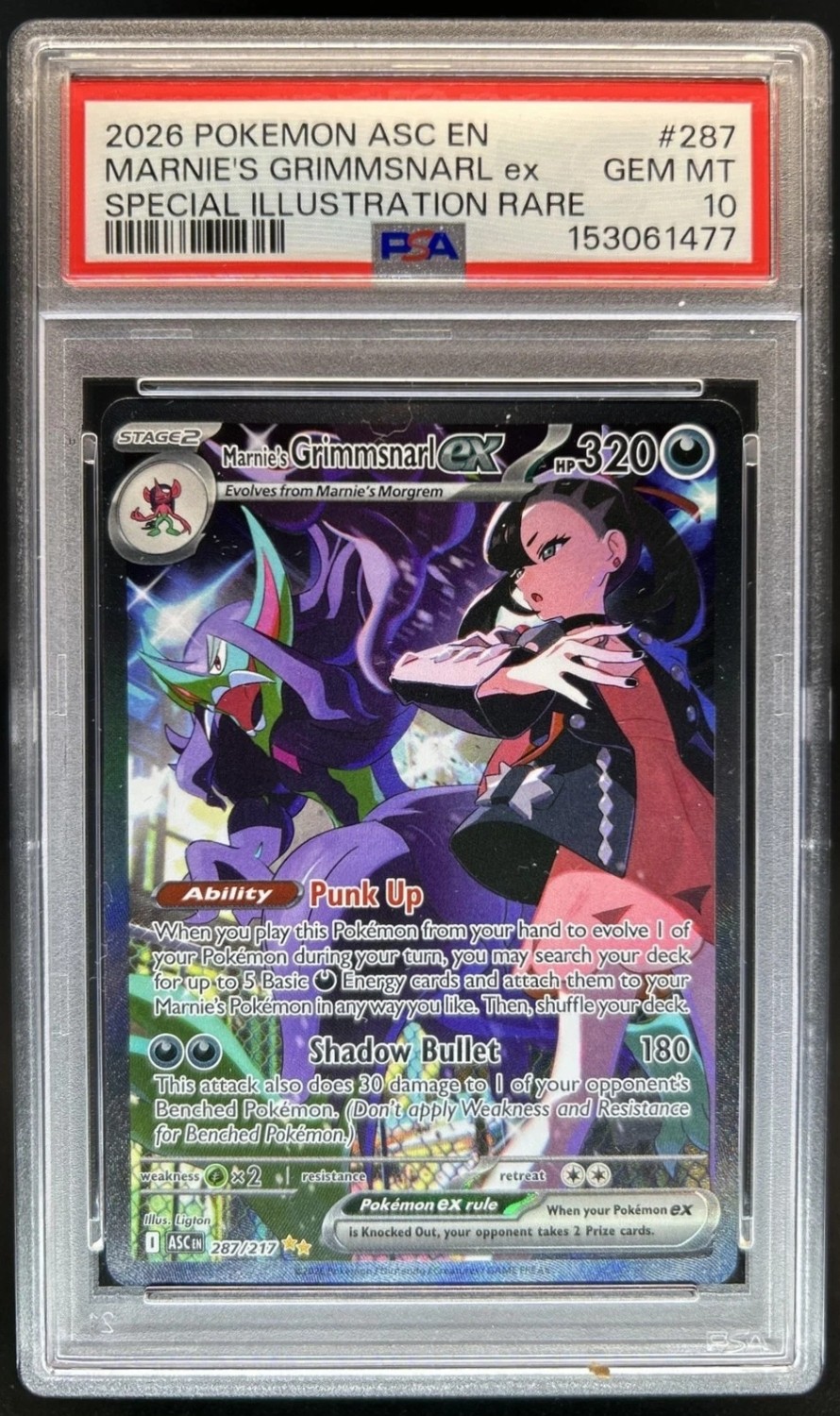 MARNIE'S GRIMMSNARL ex