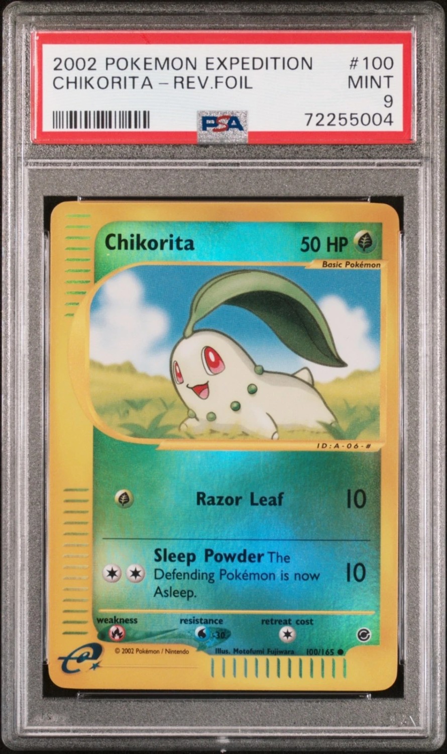 Chikorita
