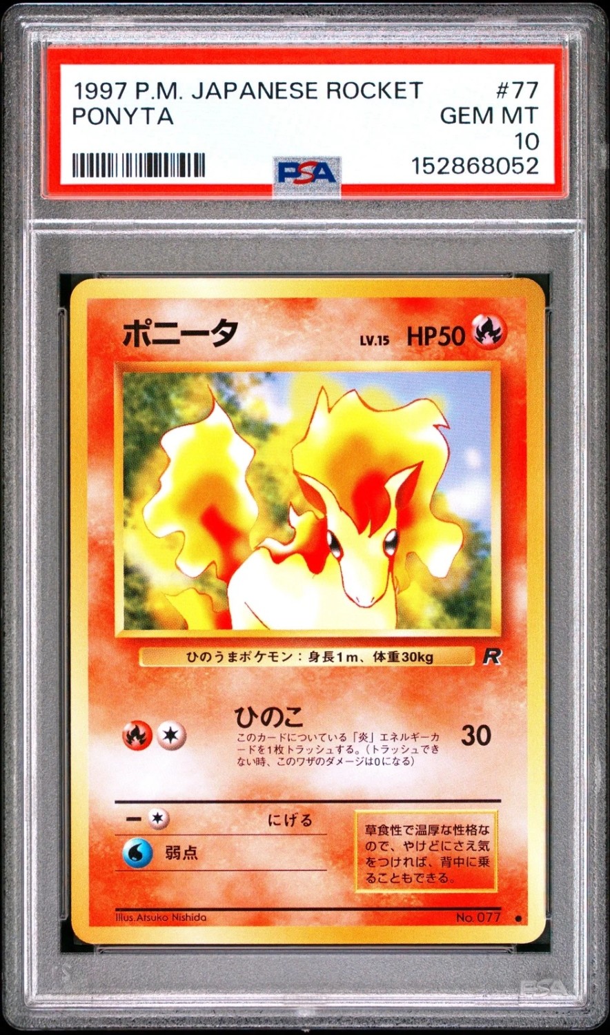 Ponyta