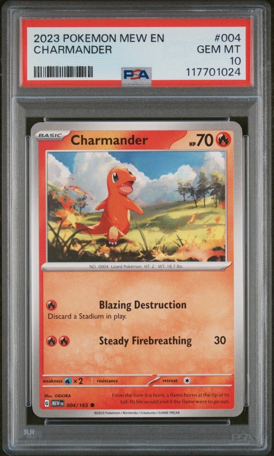 CHARMANDER