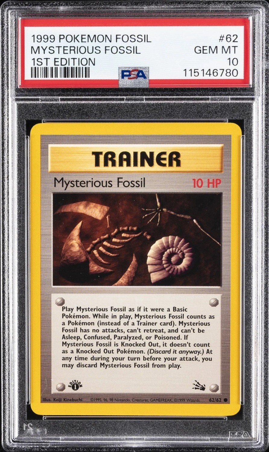 Mysterious Fossil