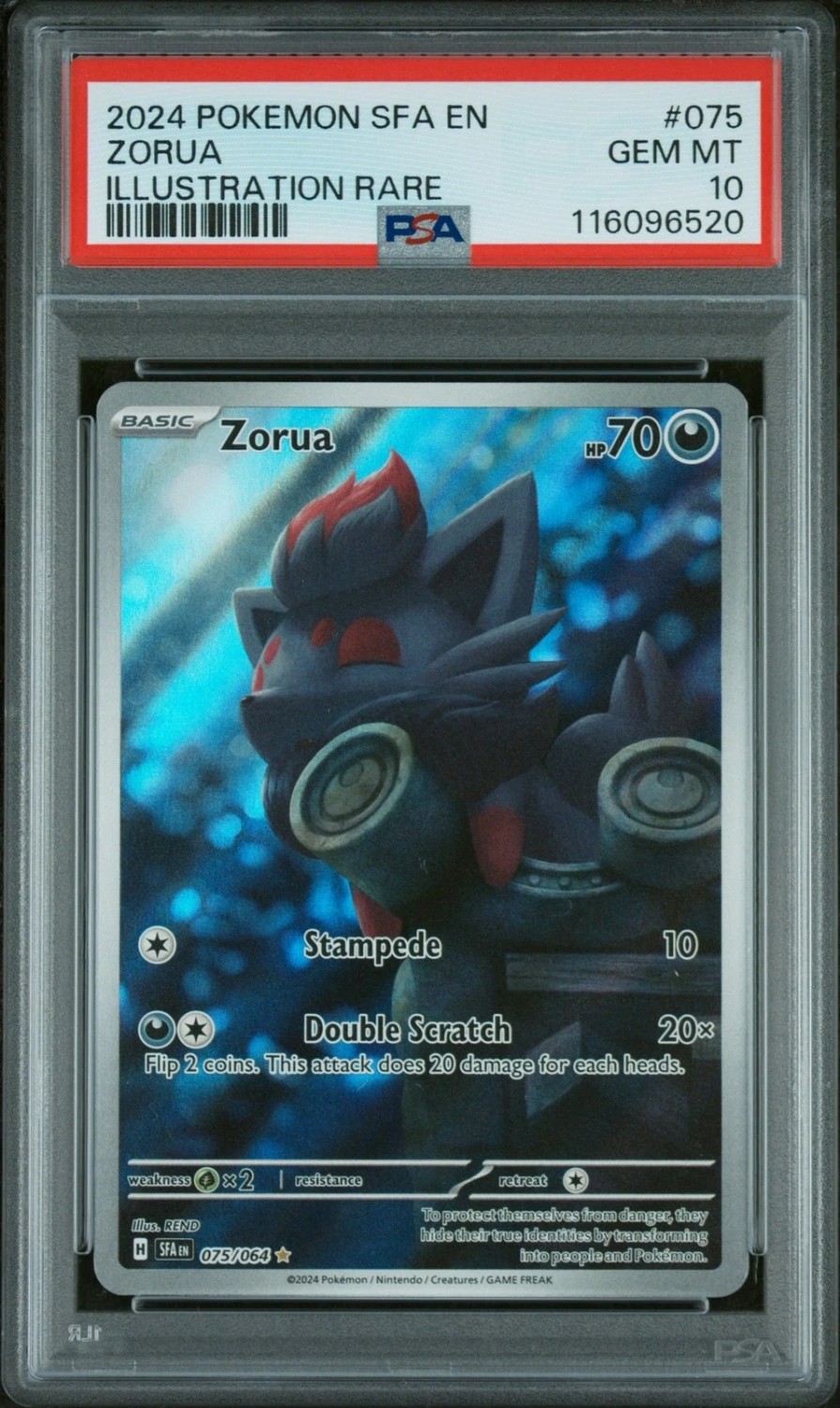 Zorua
