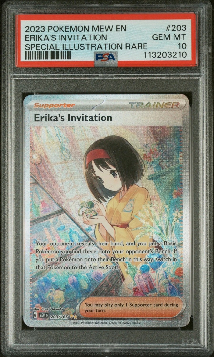 Erika's Invitation