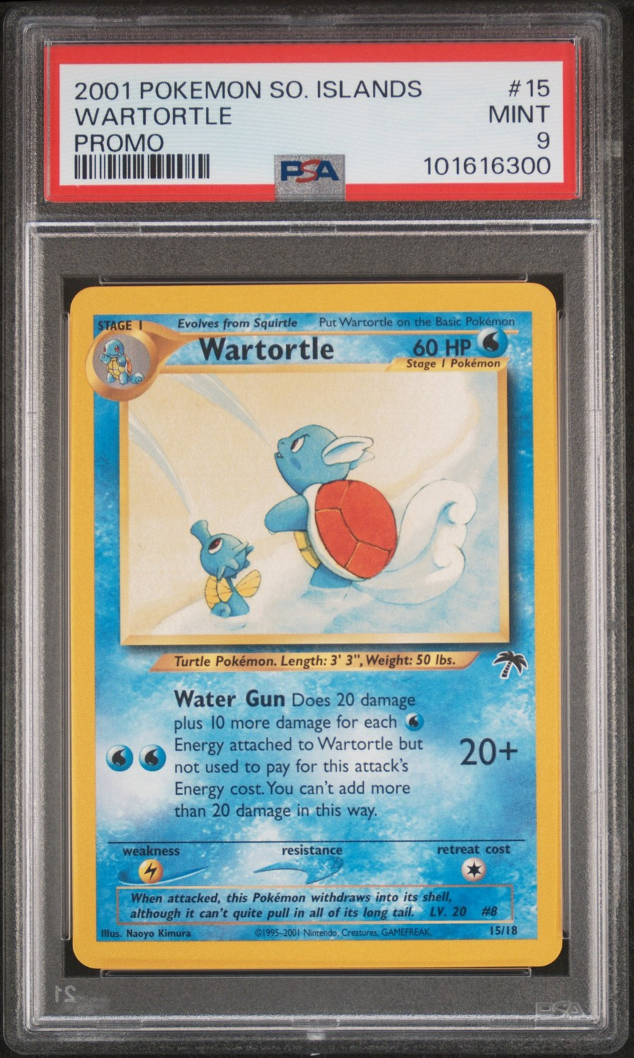 Wartortle