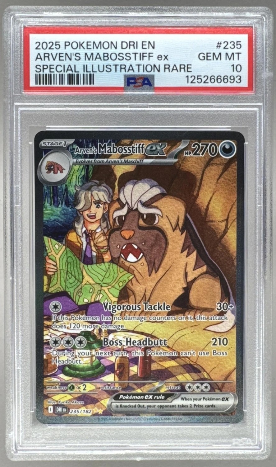 ARVEN'S MABOSSTIFF ex