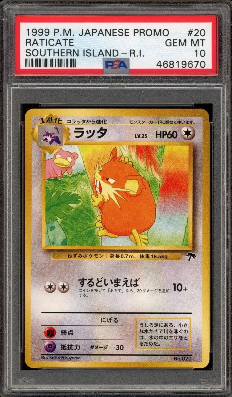 Raticate