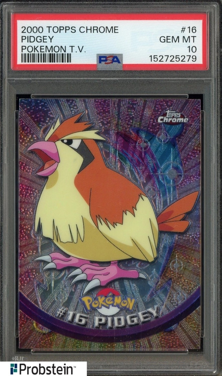 Pidgey