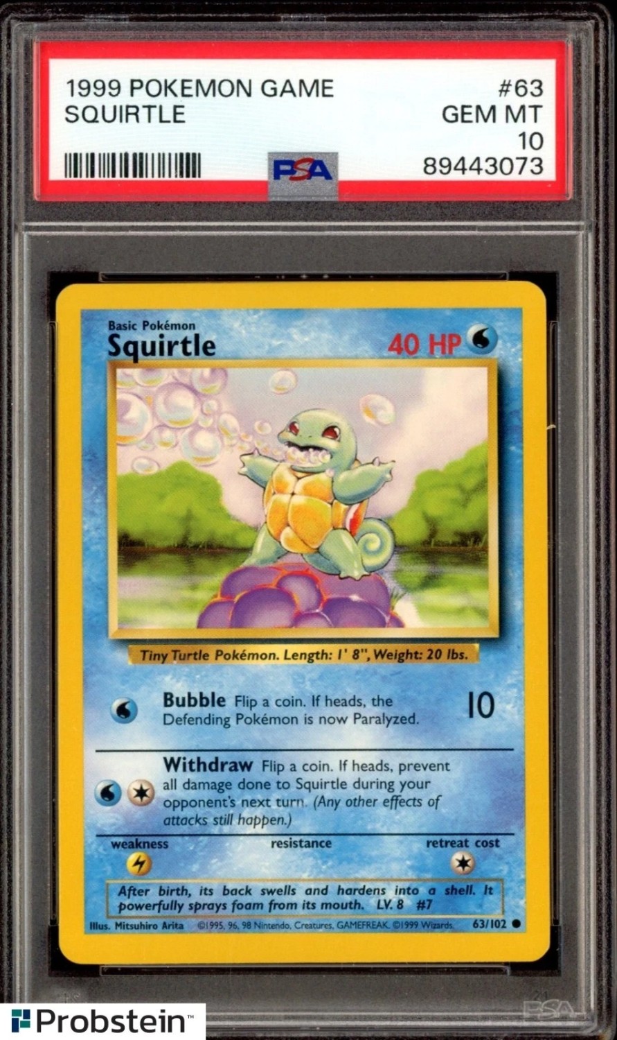 SQUIRTLE