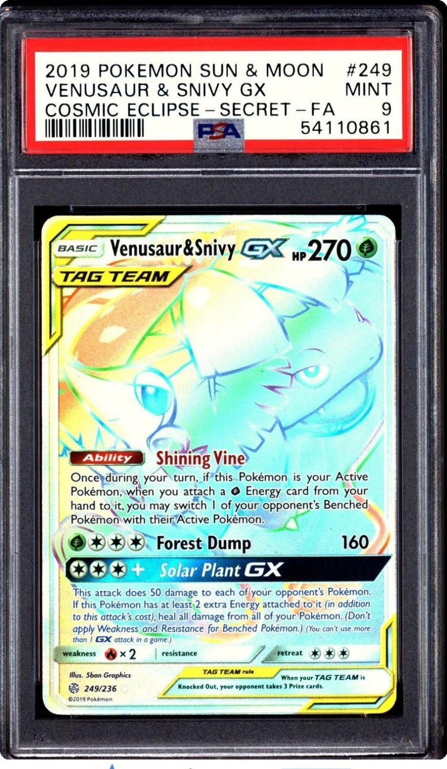 Venusaur & Snivy GX