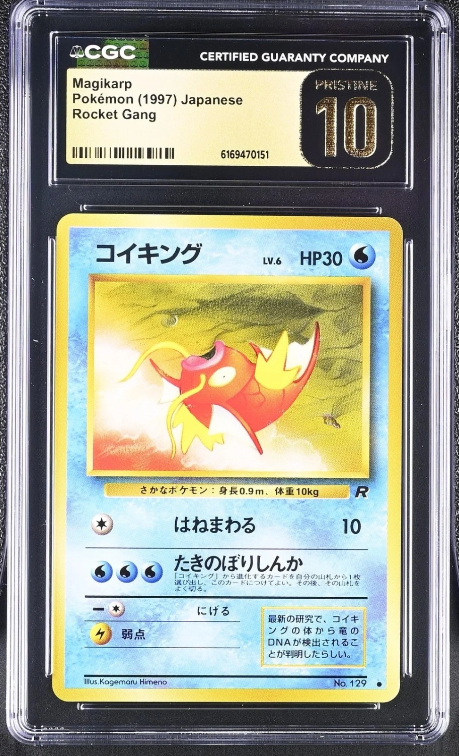 Magikarp