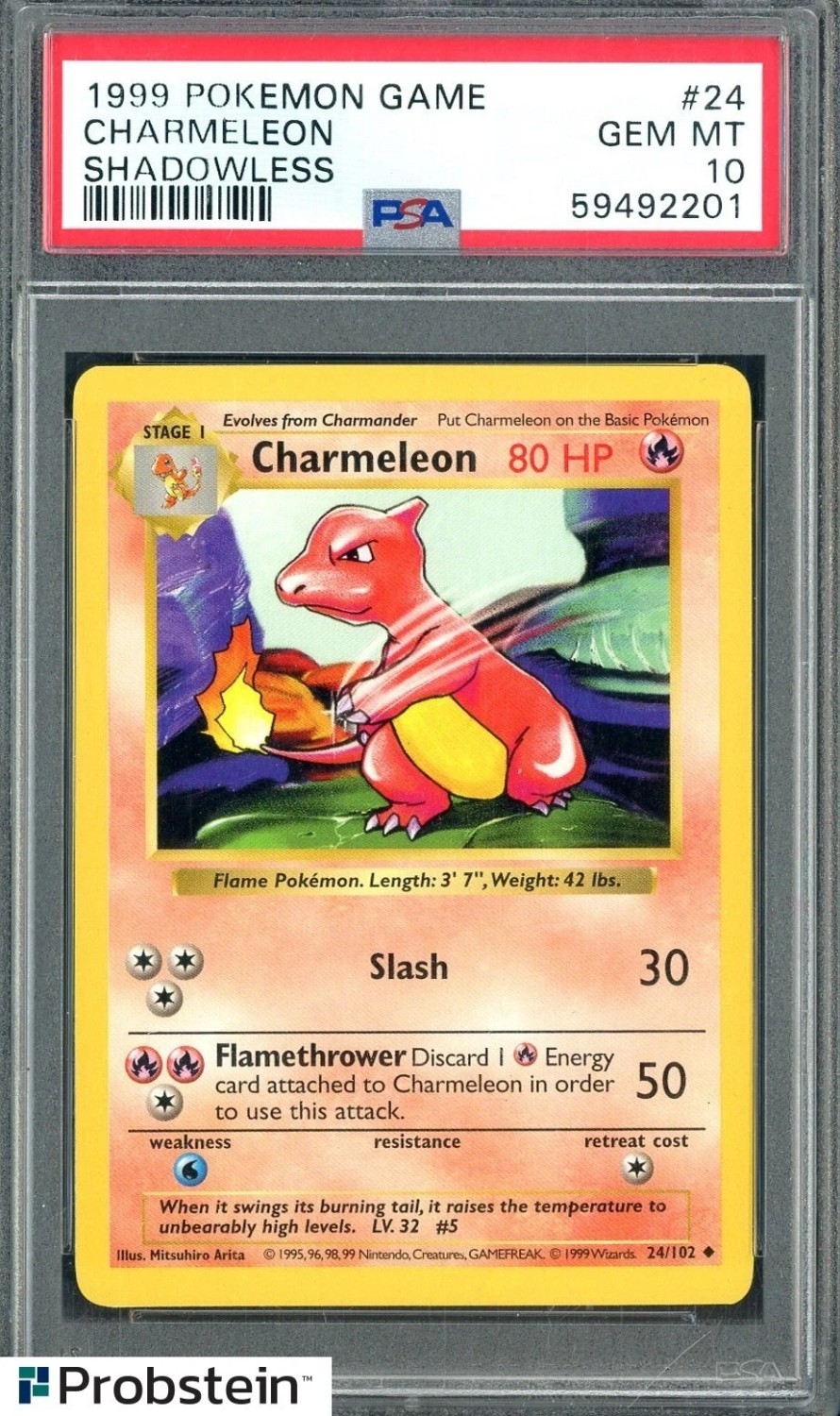 CHARMELEON