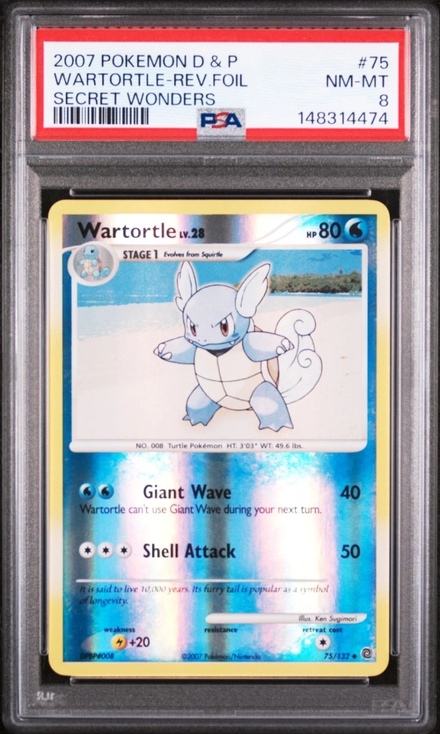 Wartortle