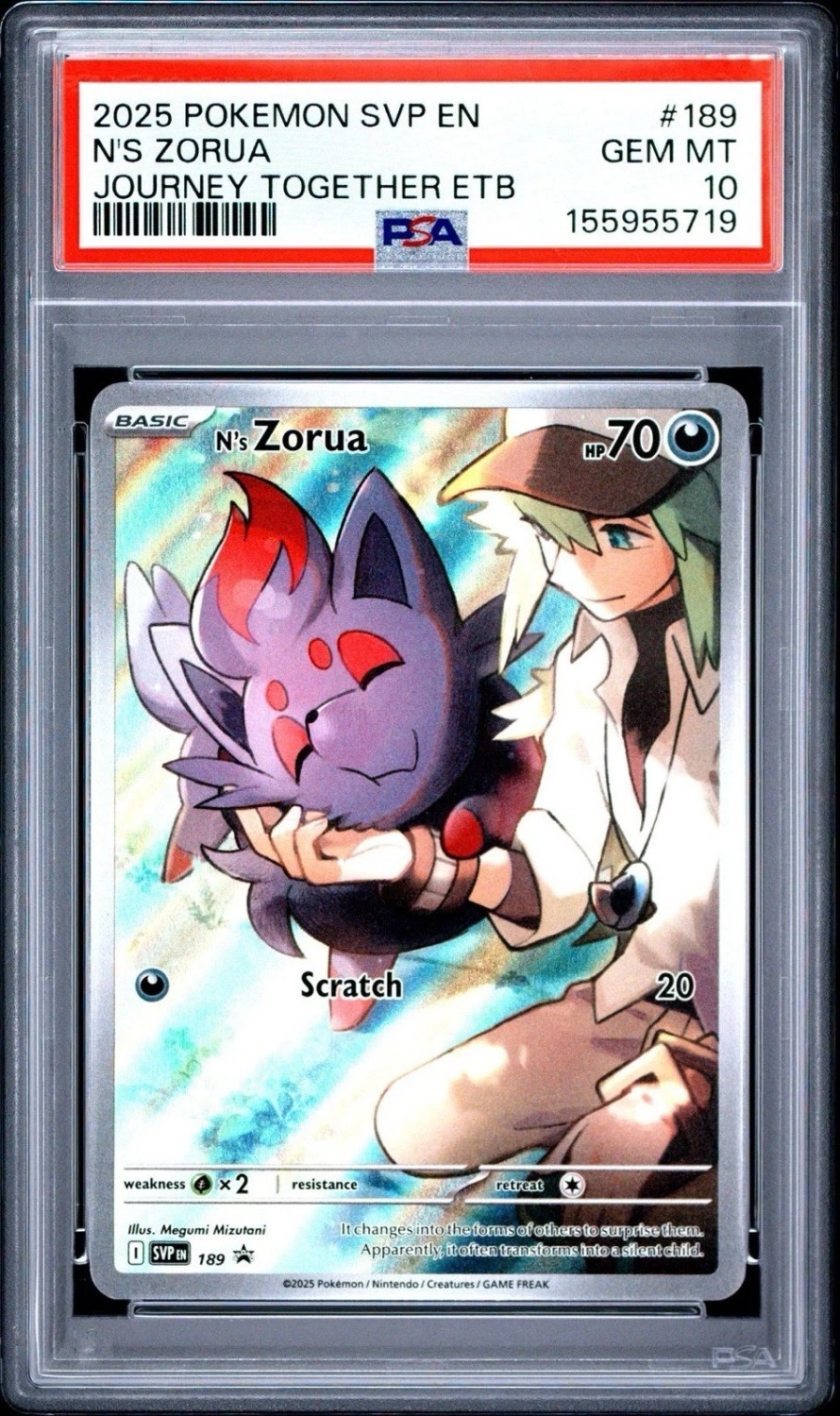 N's Zorua