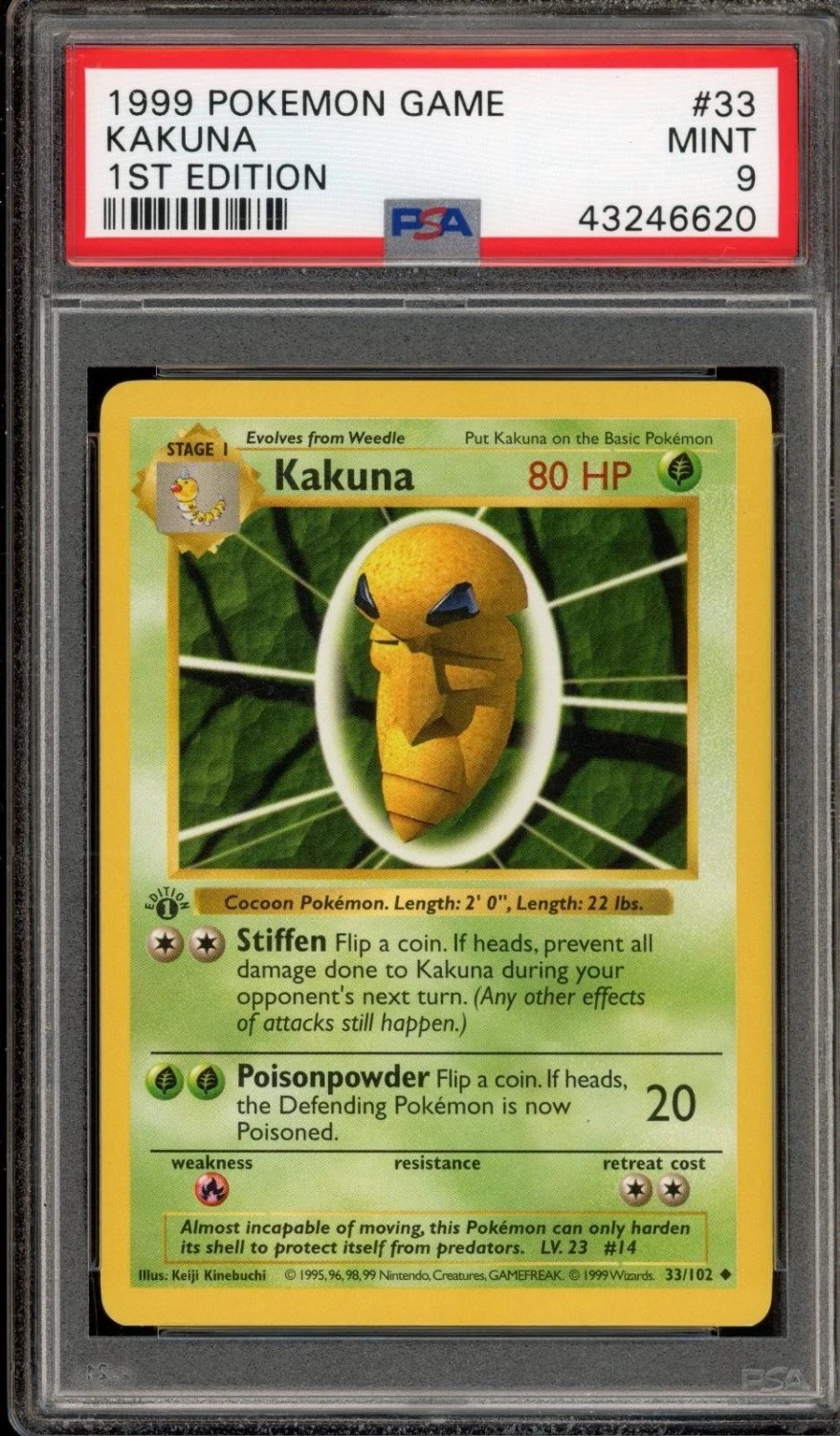KAKUNA