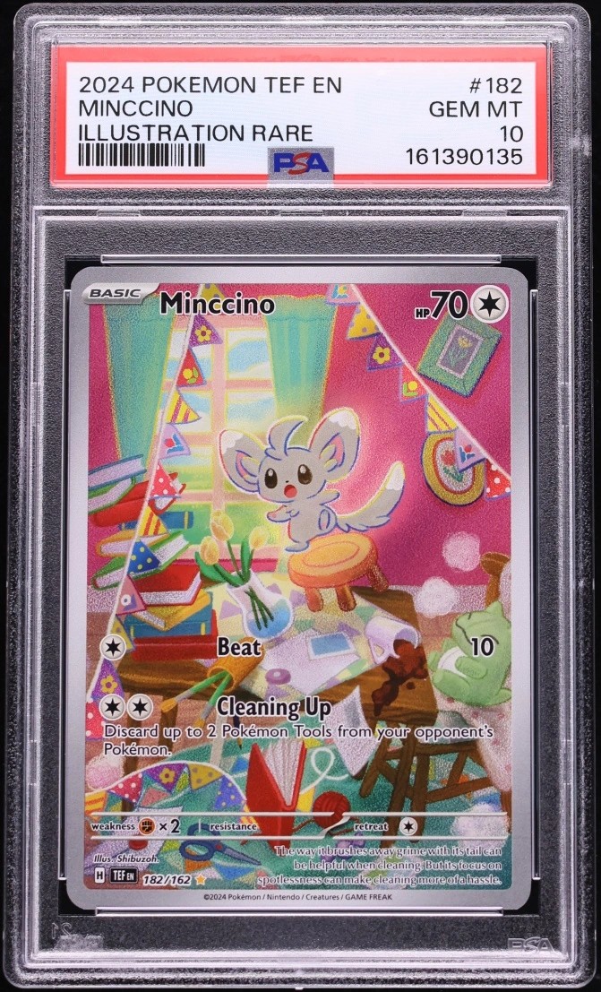 Minccino