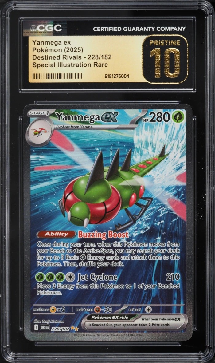 YANMEGA ex