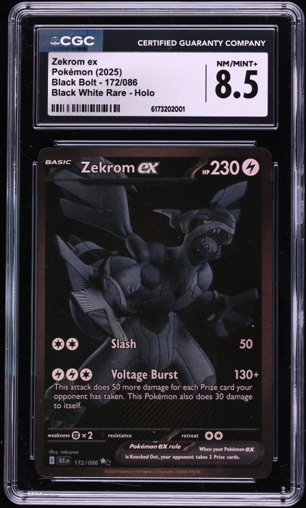 ZEKROM ex